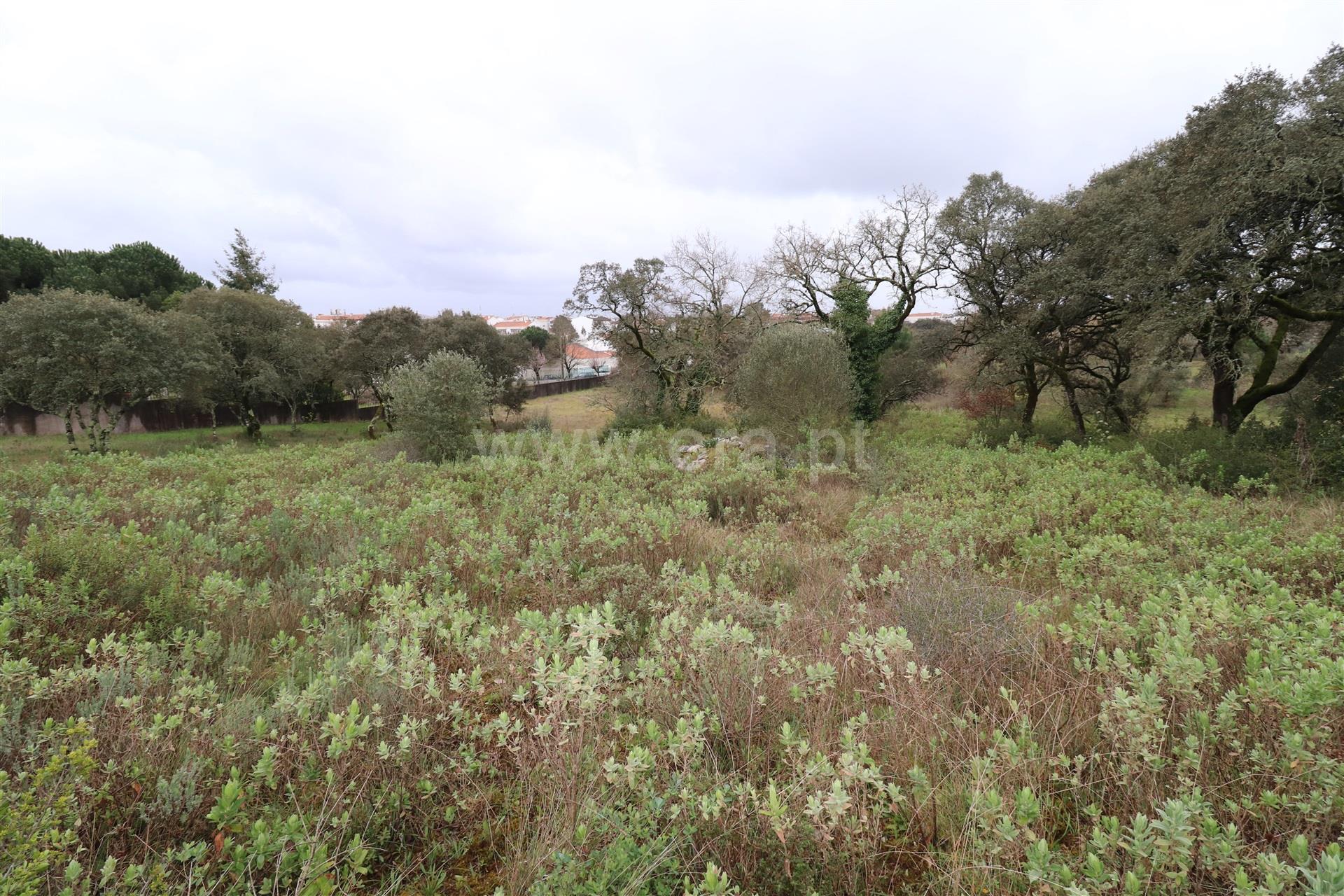Land for sale in Ourém, Portugal — €200,000
