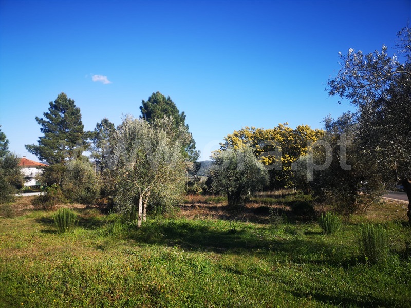 Terreno para Construção / Ourém, Freixianda, Ribeira do Fárrio e Formigais