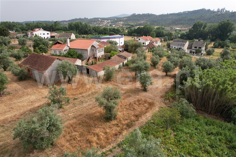 Terreno para Construção  Ourém, Freixianda, Ribeira do Fárrio e Formigais - 1257248 - 8