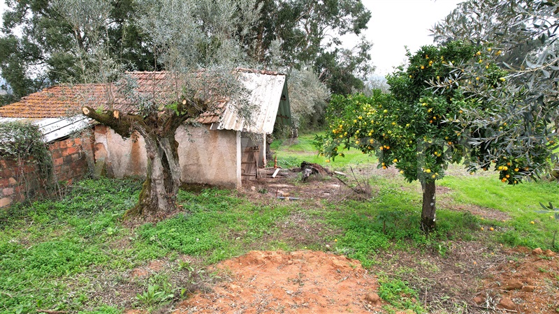 Terreno para Construção  Ourém, Freixianda, Ribeira do Fárrio e Formigais - 1444203 - 5