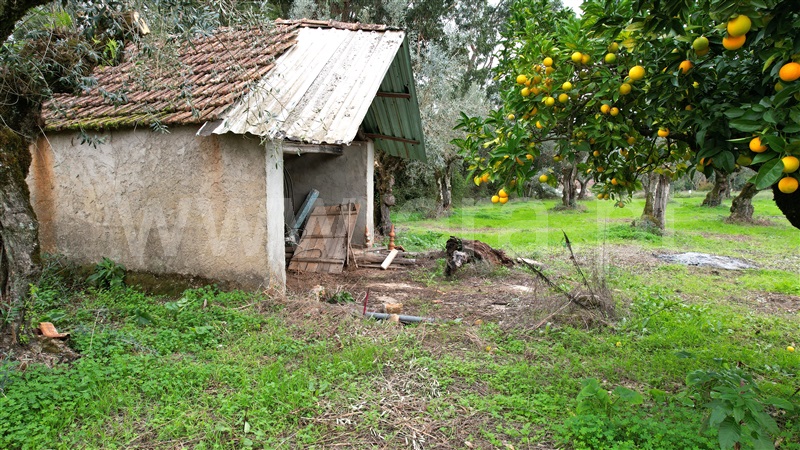 Terreno para Construção  Ourém, Freixianda, Ribeira do Fárrio e Formigais - 1444203 - 6