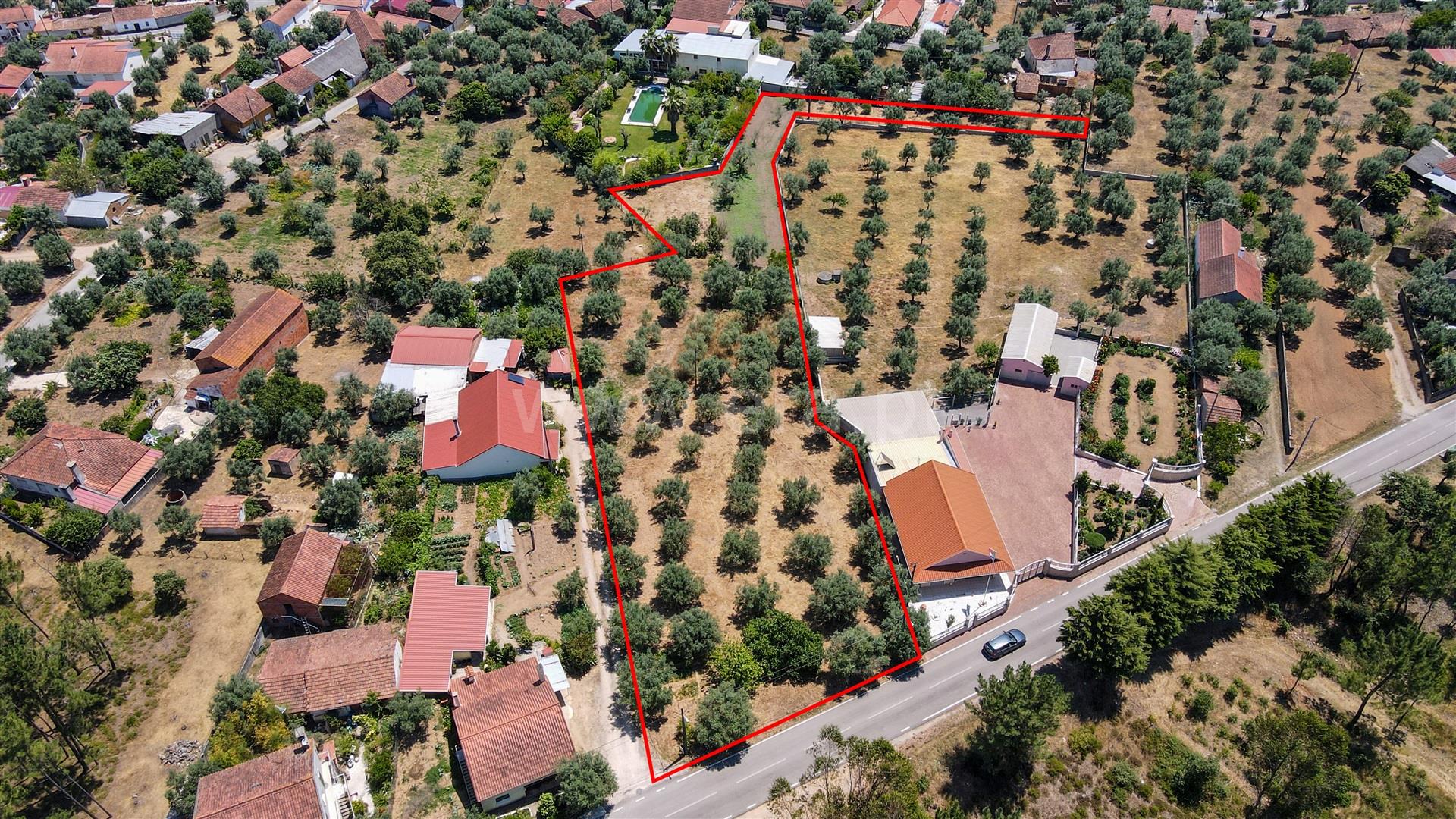 Land for sale in Ourém, Portugal — €69,000