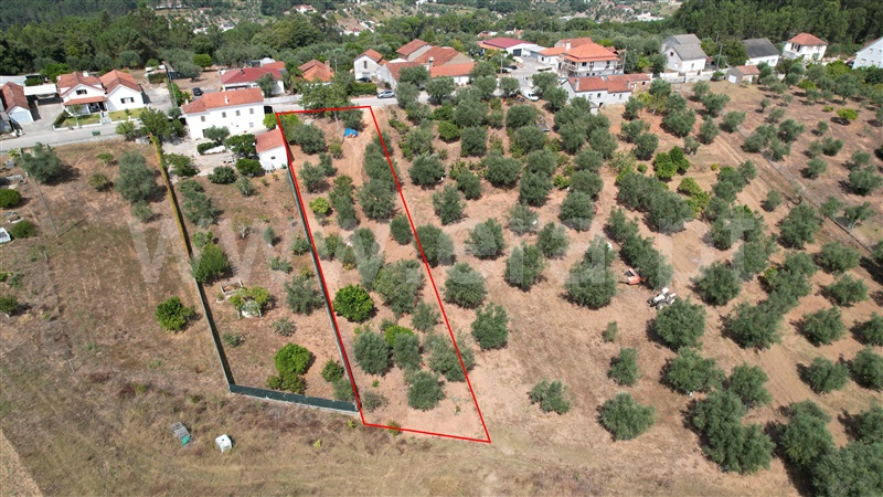 Terreno para Construção / Ourém, Gondemaria e Olival