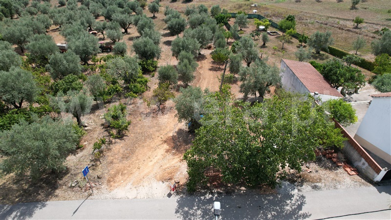 Terreno  Ourém, Gondemaria e Olival - 1125975 - 4