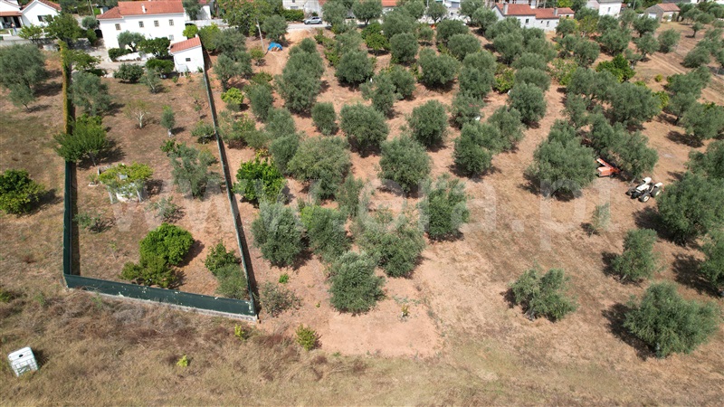 Terreno  Ourém, Gondemaria e Olival - 1125975 - 5