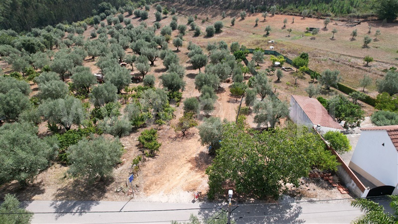 Terreno  Ourém, Gondemaria e Olival - 1125975 - 9