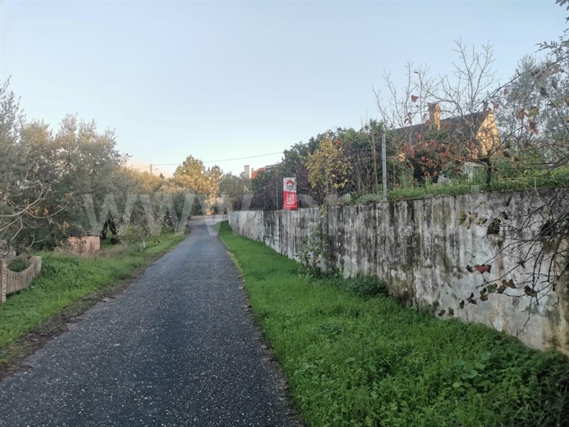 Terreno para Construção / Ourém, Gondemaria e Olival