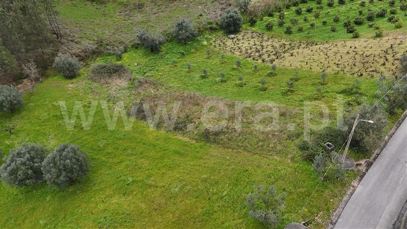 Terreno para Construção  Ourém, Gondemaria e Olival - 1155908 - 5