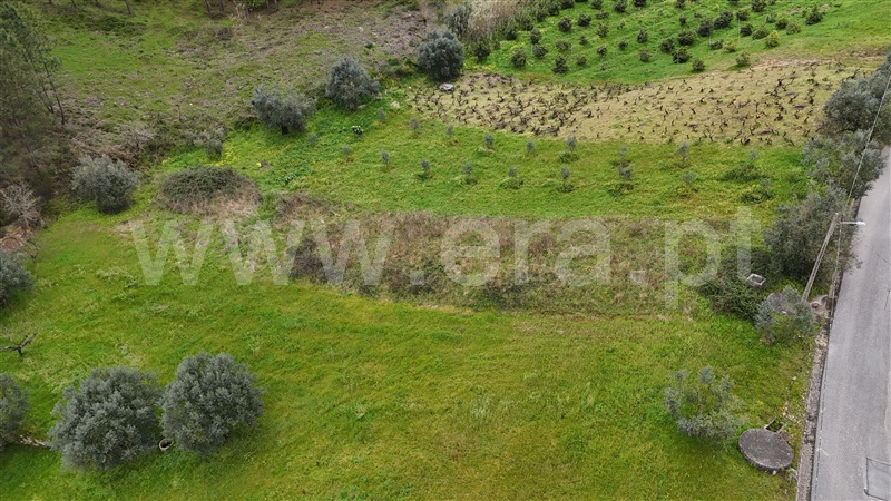 Terreno para Construção  Ourém, Gondemaria e Olival - 1155908 - 6