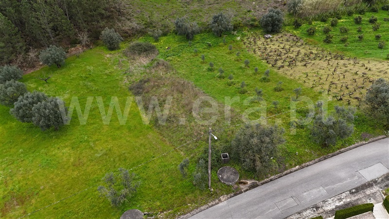 Terreno para Construção  Ourém, Gondemaria e Olival - 1155908 - 16