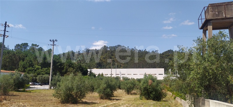 Terreno para Construção  Ourém, Gondemaria e Olival - 1191677 - 2