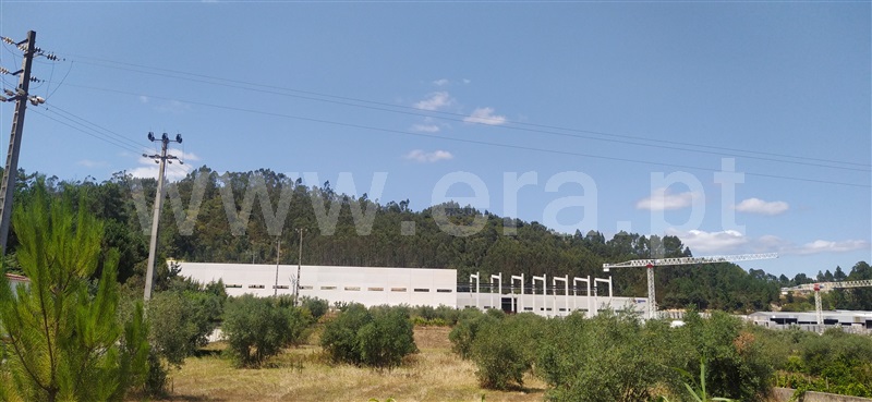 Terreno para Construção  Ourém, Gondemaria e Olival - 1191677 - 3