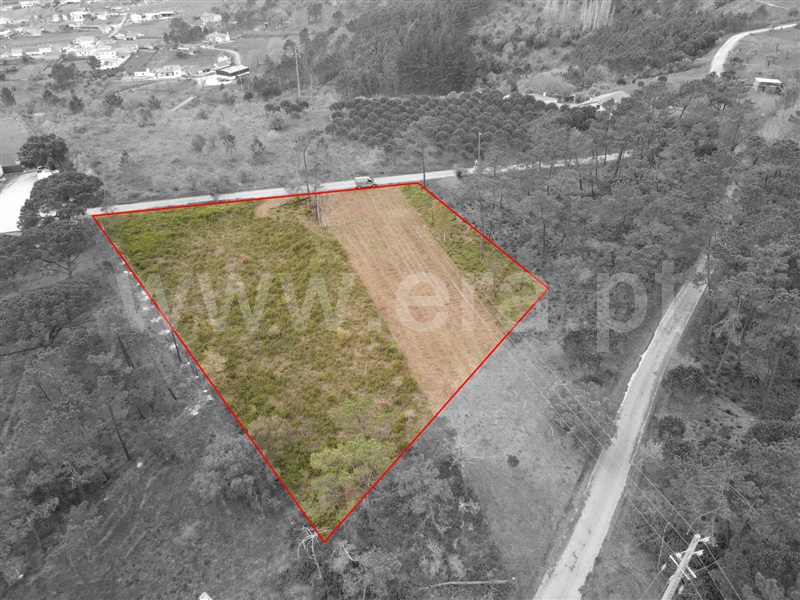 Terreno  Ourém, Gondemaria e Olival - 1241026 - 2