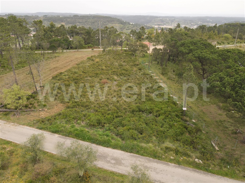 Terreno  Ourém, Gondemaria e Olival - 1241026 - 4