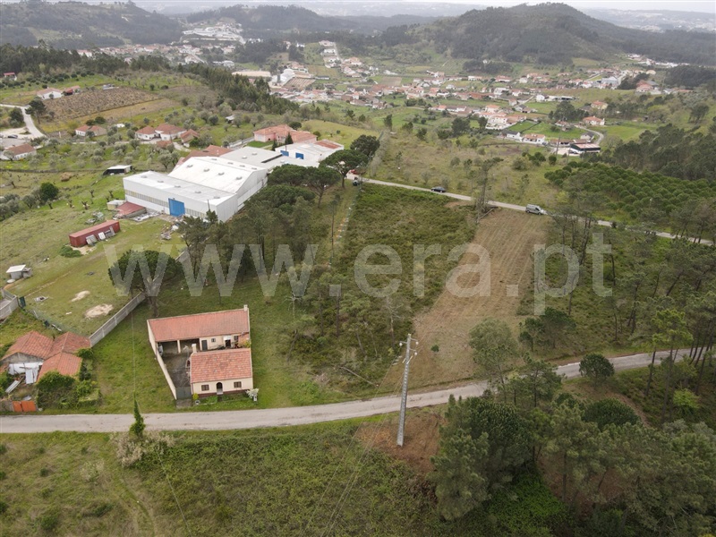 Terreno  Ourém, Gondemaria e Olival - 1241026 - 6