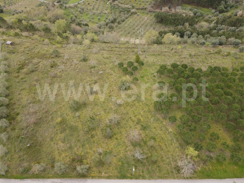 Terreno  Ourém, Gondemaria e Olival - 1241026 - 7