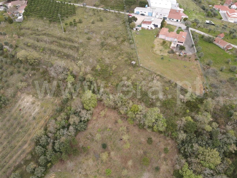 Terreno  Ourém, Gondemaria e Olival - 1241026 - 8