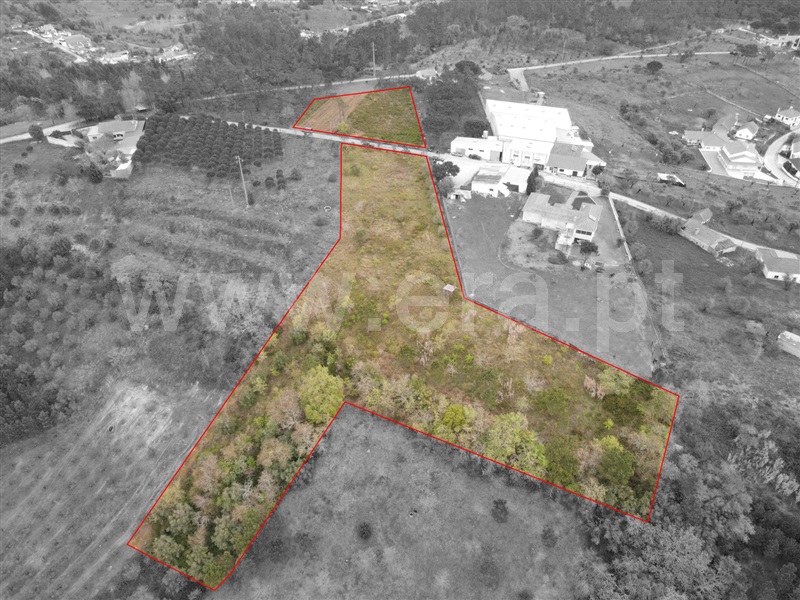 Terreno  Ourém, Gondemaria e Olival - 1241026 - 8