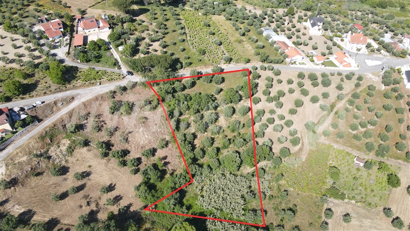 Terreno para Construção / Ourém, Gondemaria e Olival