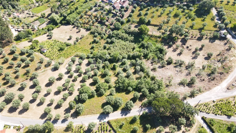 Terreno para Construção  com Aprovado Ourém, Gondemaria e Olival - 1258354 - 8