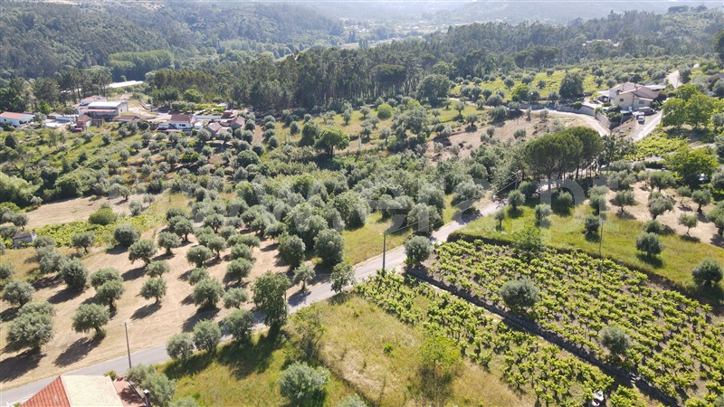Terreno para Construção  com Aprovado Ourém, Gondemaria e Olival - 1258354 - 10