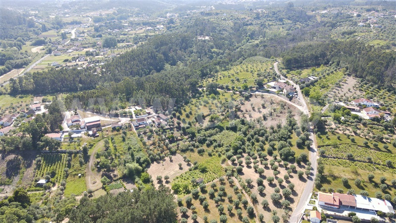 Terreno para Construção  com Aprovado Ourém, Gondemaria e Olival - 1258354 - 12