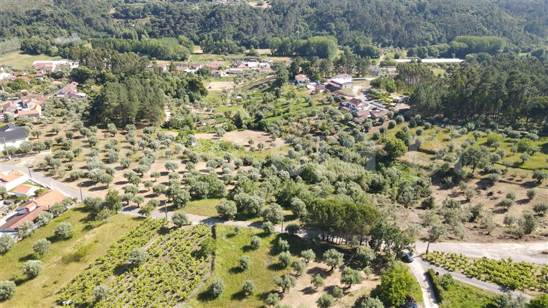 Terreno para Construção  com Aprovado Ourém, Gondemaria e Olival - 1258354 - 13