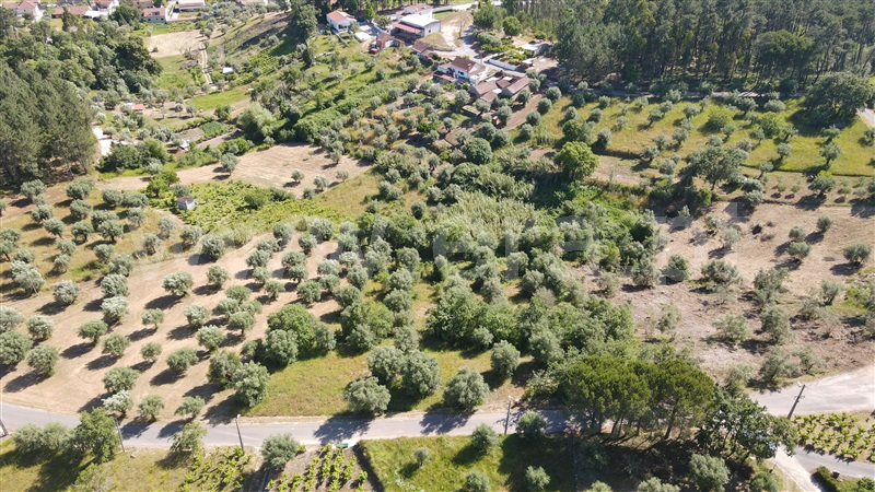 Terreno para Construção  com Aprovado Ourém, Gondemaria e Olival - 1258354 - 14