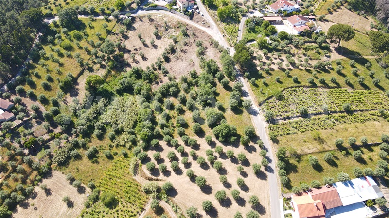 Terreno para Construção  com Aprovado Ourém, Gondemaria e Olival - 1258354 - 15