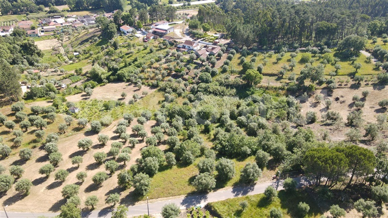 Terreno para Construção  com Aprovado Ourém, Gondemaria e Olival - 1258354 - 16