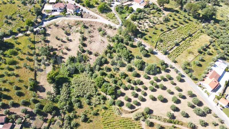 Terreno para Construção  com Aprovado Ourém, Gondemaria e Olival - 1258354 - 17