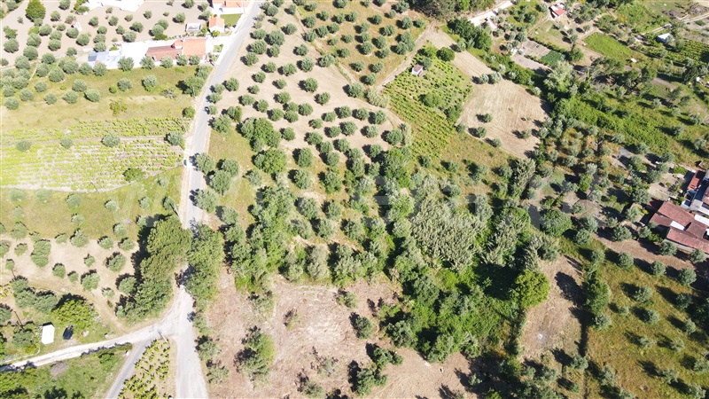 Terreno para Construção  com Aprovado Ourém, Gondemaria e Olival - 1258354 - 18