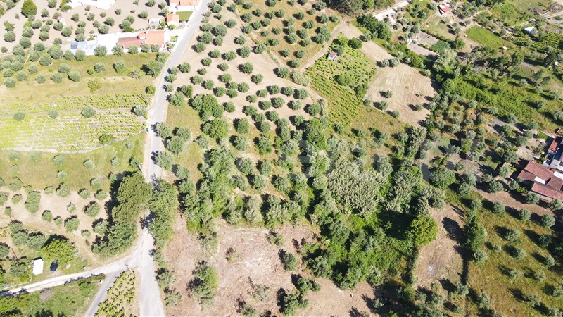 Terreno para Construção  com Aprovado Ourém, Gondemaria e Olival - 1258354 - 19