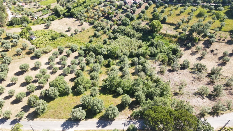 Terreno para Construção  com Aprovado Ourém, Gondemaria e Olival - 1258354 - 20
