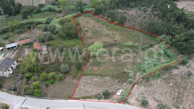Terreno para Construção / Ourém, Gondemaria e Olival