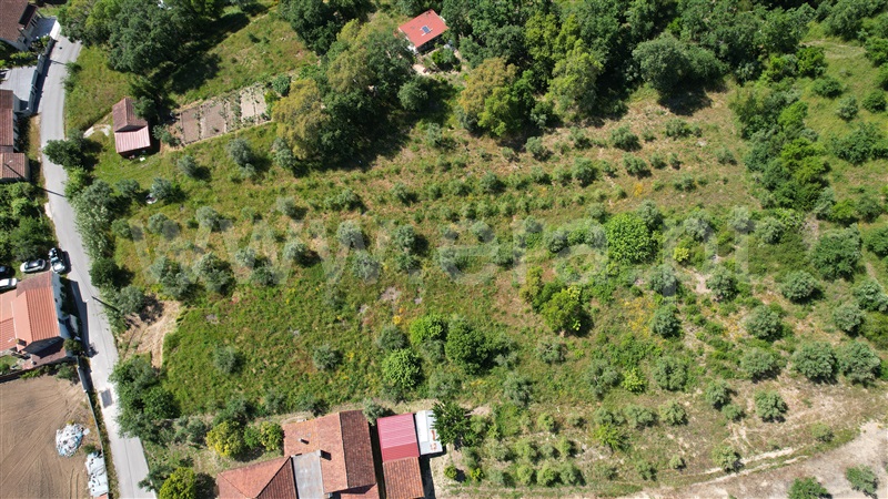 Terreno para Construção  Ourém, Gondemaria e Olival - 1494183 - 5