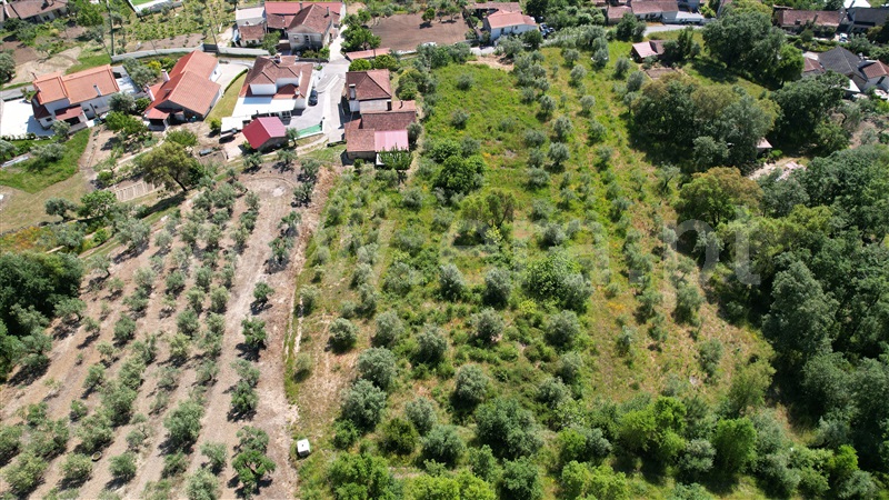 Terreno para Construção  Ourém, Gondemaria e Olival - 1494183 - 6