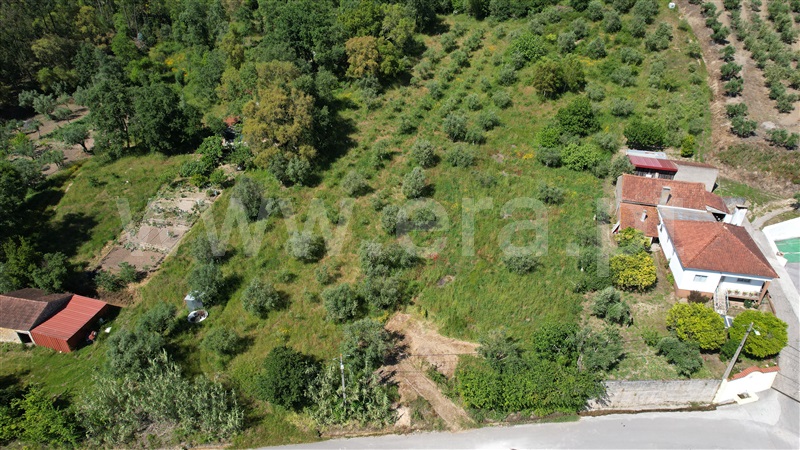 Terreno para Construção  Ourém, Gondemaria e Olival - 1494183 - 7