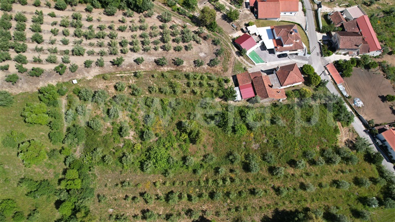 Terreno para Construção  Ourém, Gondemaria e Olival - 1494183 - 8