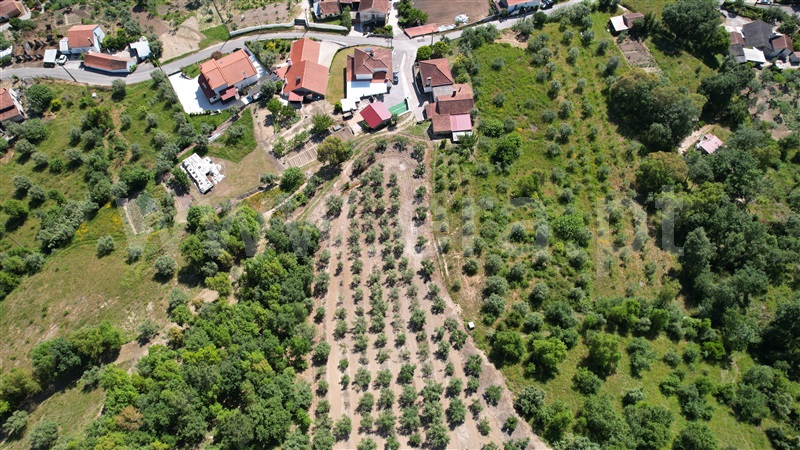 Terreno para Construção  Ourém, Gondemaria e Olival - 1494183 - 13