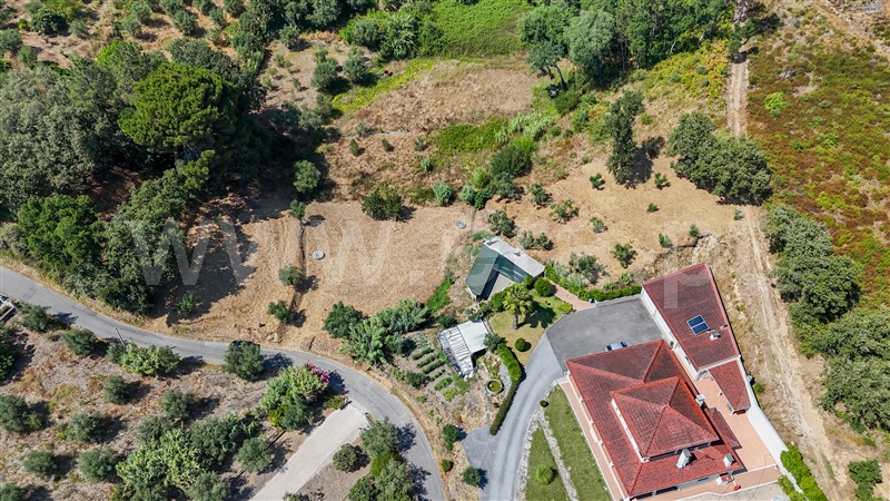 Terreno  Ourém, Gondemaria e Olival - 1496887 - 2