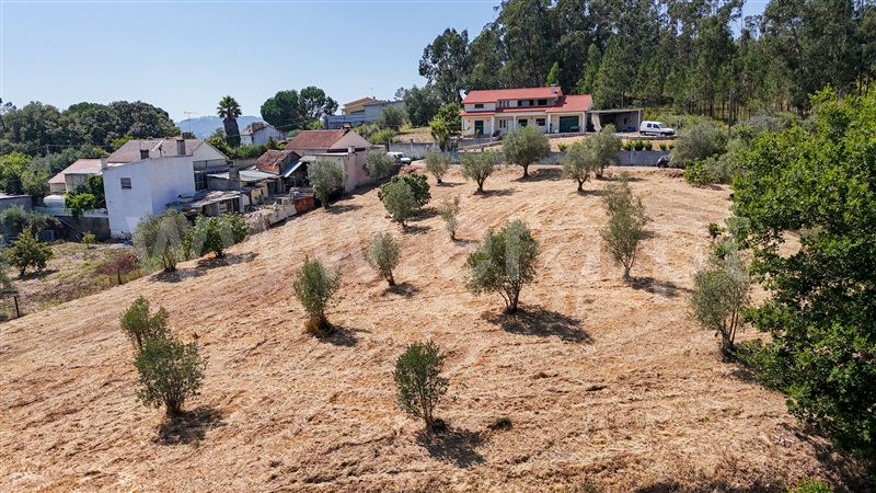 Terreno  Ourém, Gondemaria e Olival - 1496891 - 4