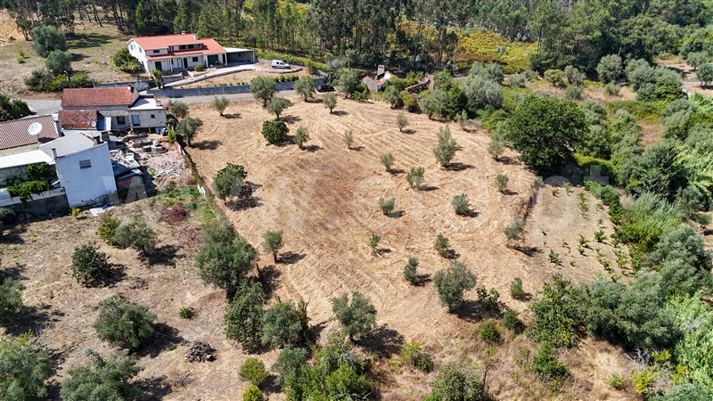 Terreno  Ourém, Gondemaria e Olival - 1496891 - 6