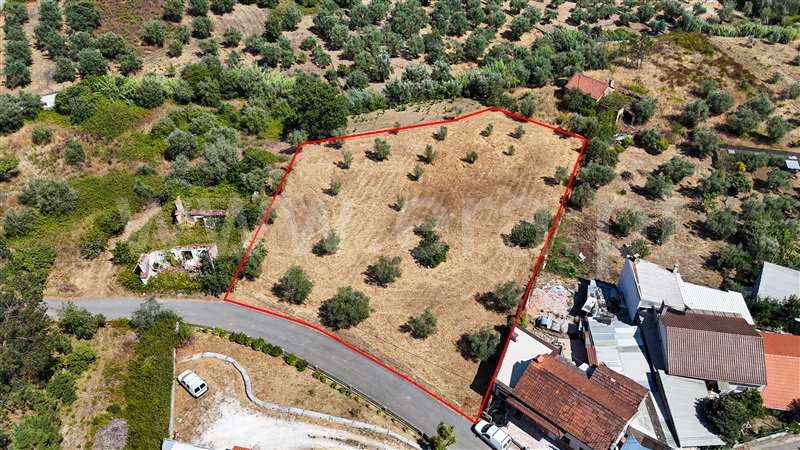 Terreno  Ourém, Gondemaria e Olival - 1496891 - 7