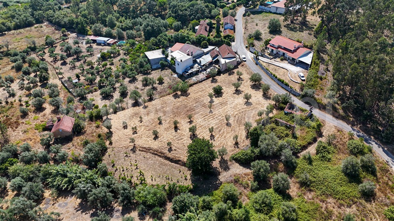 Terreno  Ourém, Gondemaria e Olival - 1496891 - 13