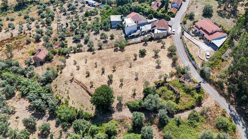 Terreno  Ourém, Gondemaria e Olival - 1496891 - 14