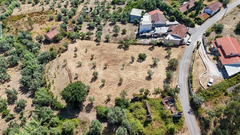 Terreno  Ourém, Gondemaria e Olival - 1496891 - 15