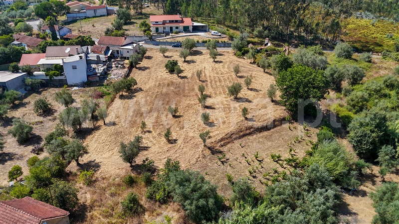 Terreno  Ourém, Gondemaria e Olival - 1496891 - 19