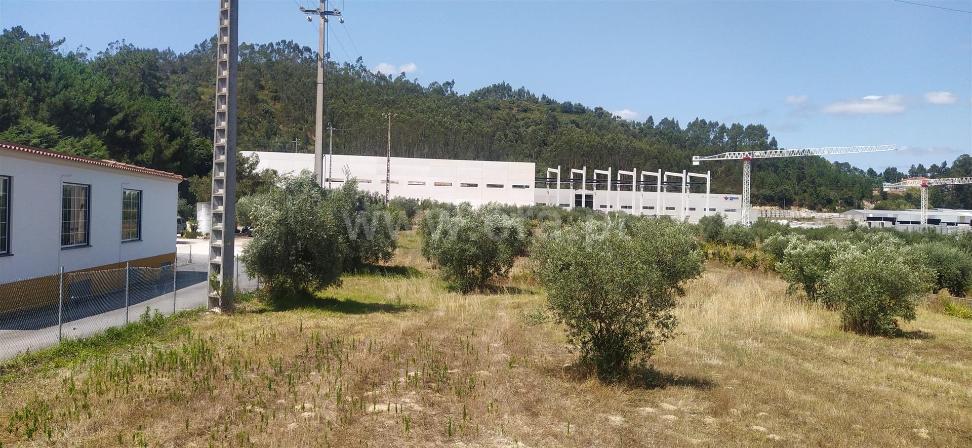 Land for sale in Ourém, Portugal — €88,000