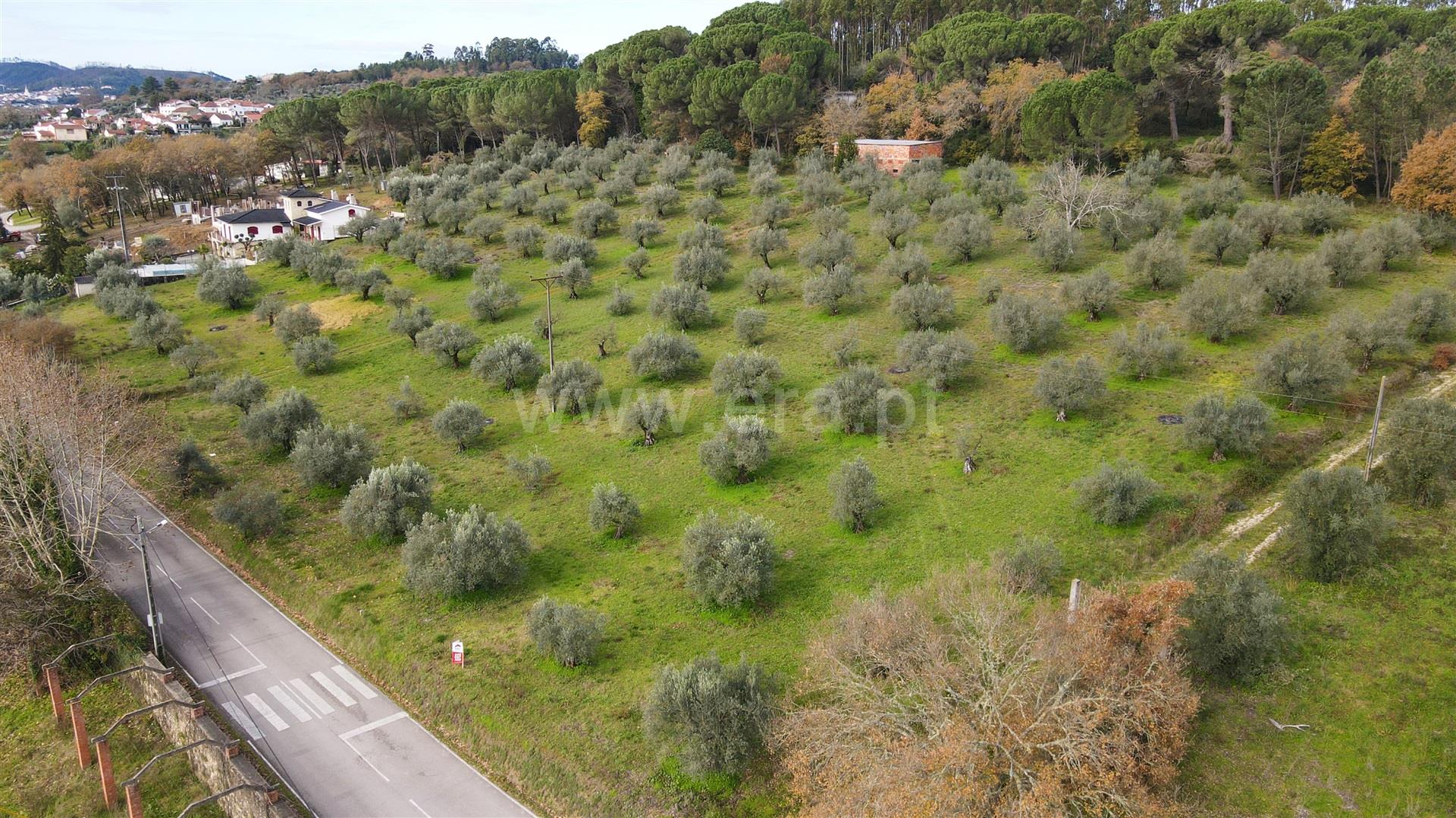 Land for sale in Ourém, Portugal — €119,000